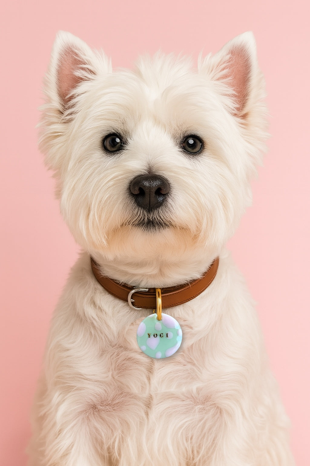 Déclinaison du modèle « Flareya »