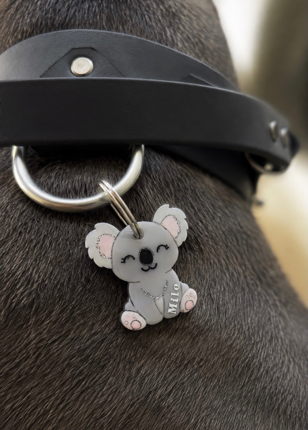 Déclinaison du modèle « Le Koala »