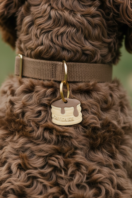 Déclinaison du modèle « Pancake »