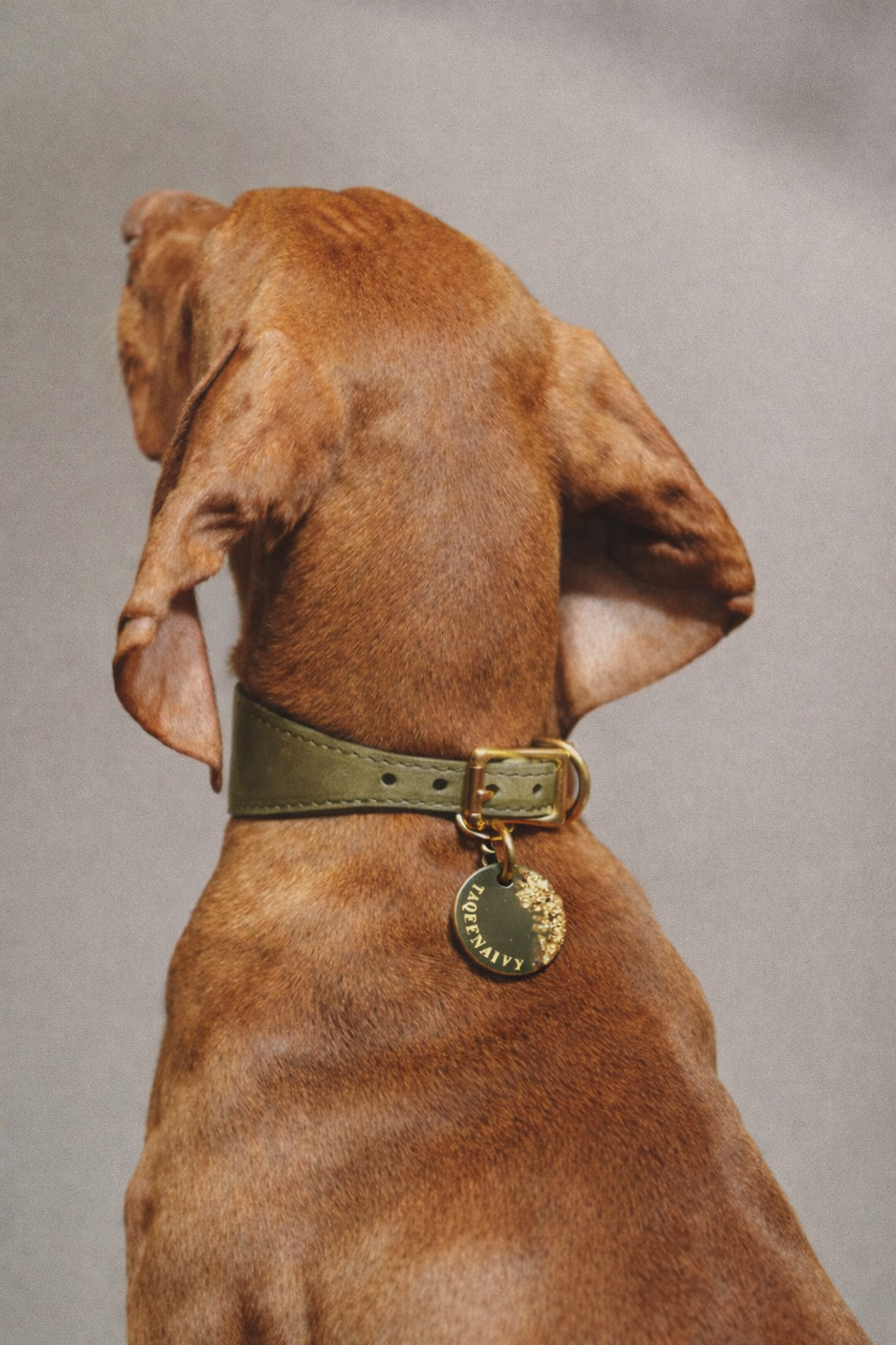 Déclinaison du modèle « Poussière d’Étoile » vert