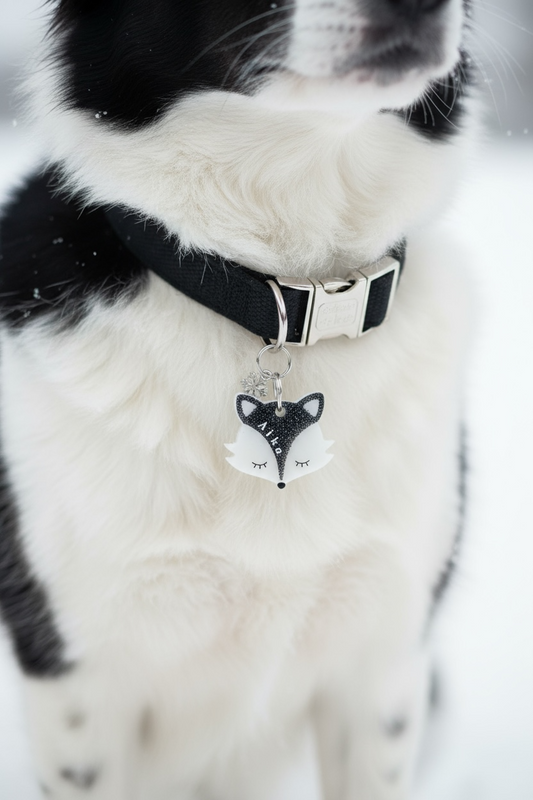 Déclinaison du modèle « Renard »