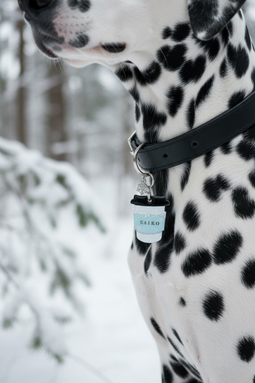 Déclinaison du modèle « Pupuccino »