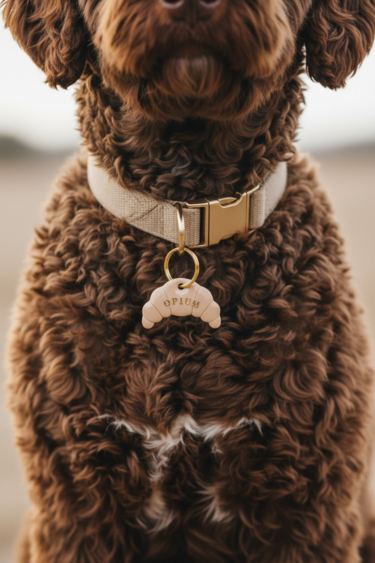 Déclinaison du modèle « P’tit croissant »