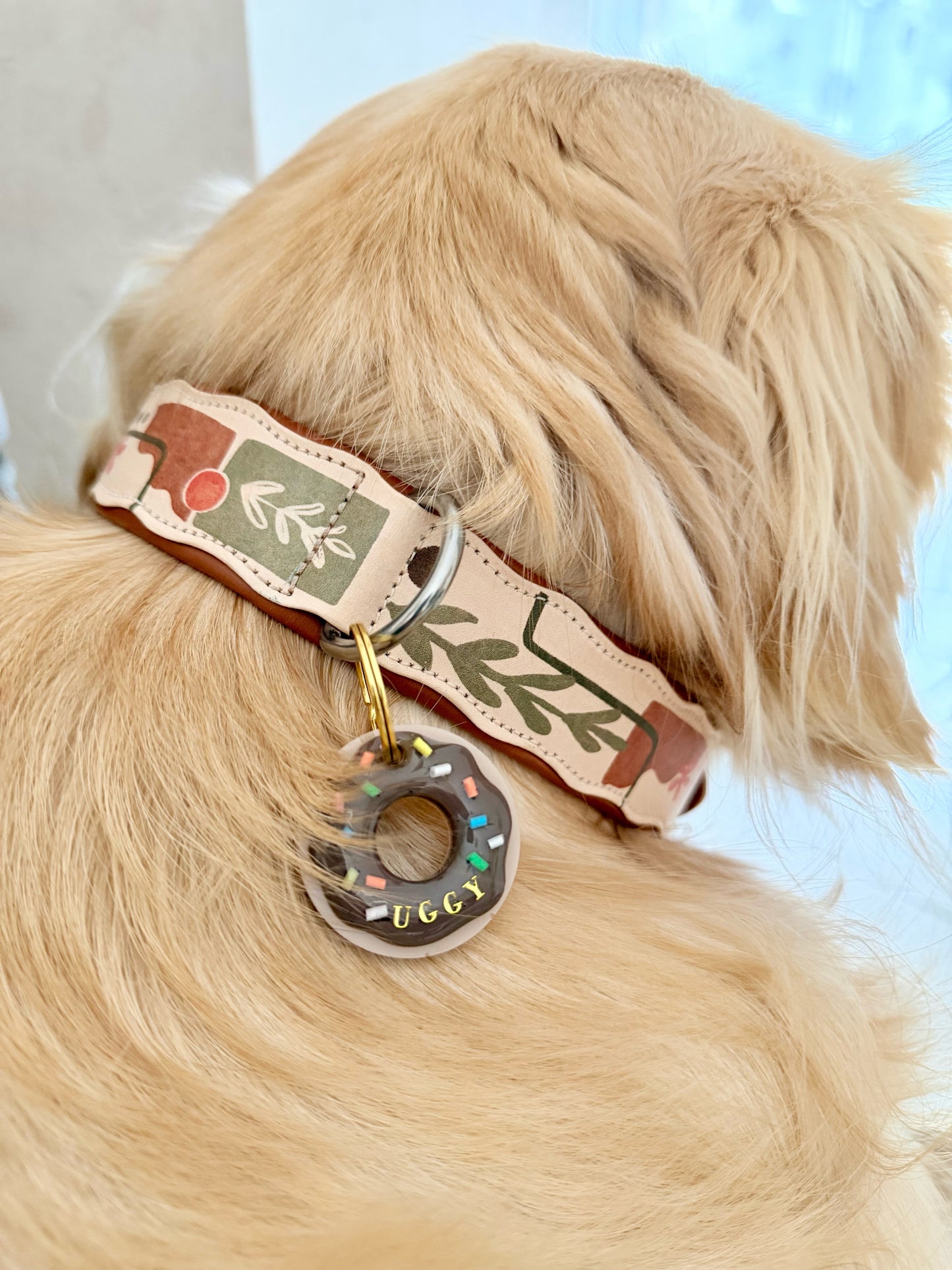 Déclinaison du modèle « DONUT »