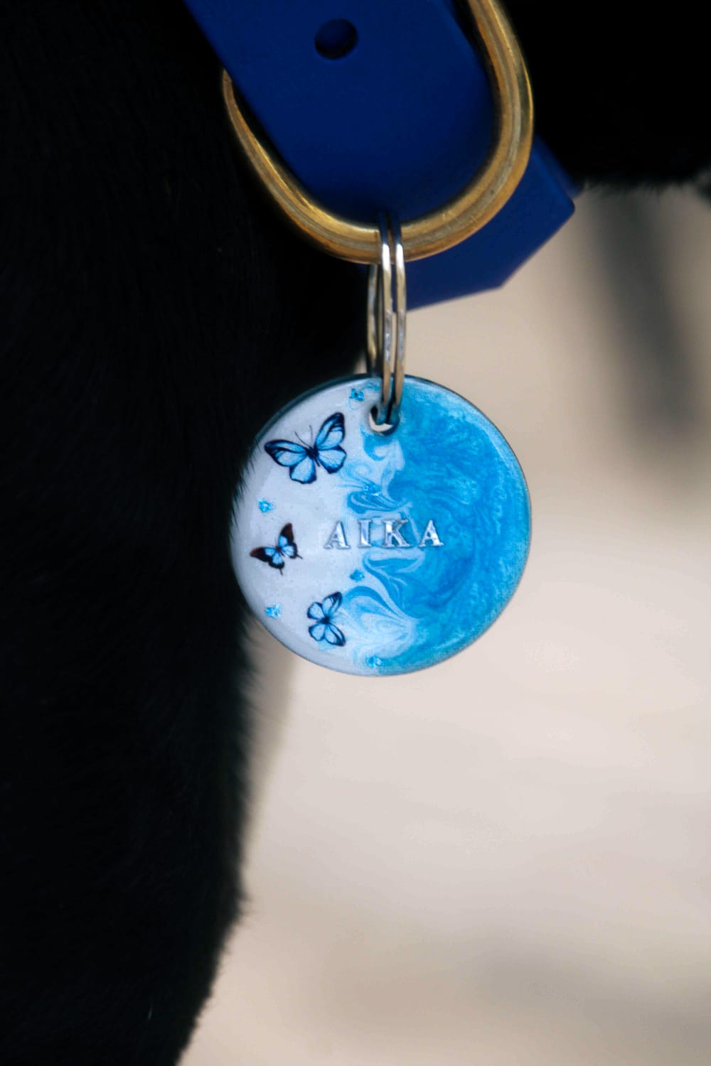 Déclinaison du modèle « Blue Butterfly »