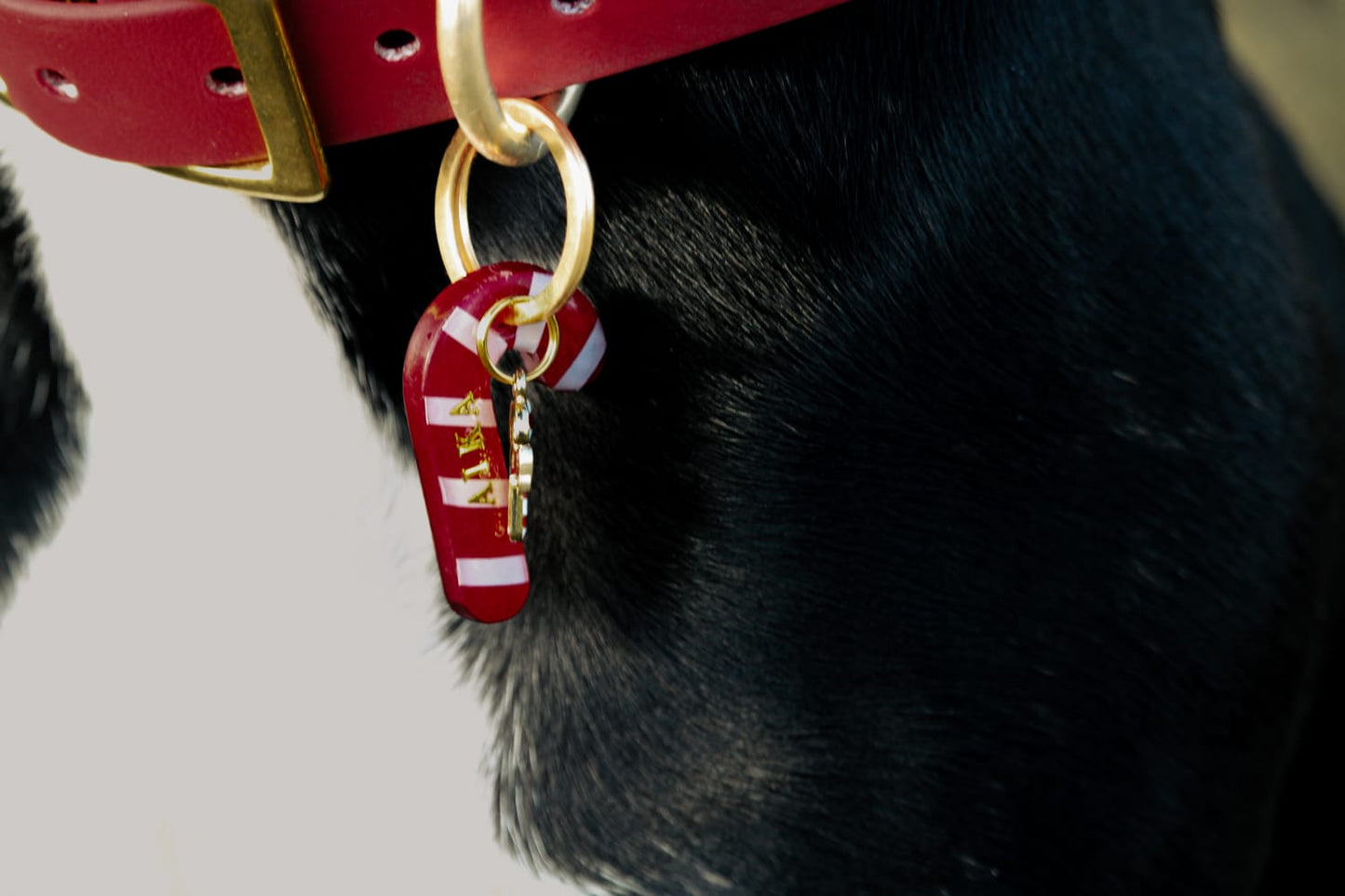 Déclinaison du modèle « Éclats d’Hiver »