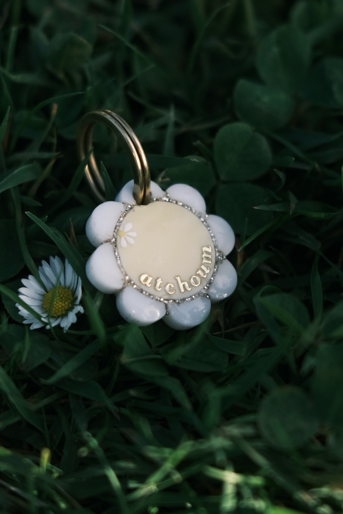 Déclinaison du modèle « Floréa »