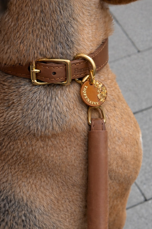 Déclinaison du modèle « Poussière d’Étoile » terracotta