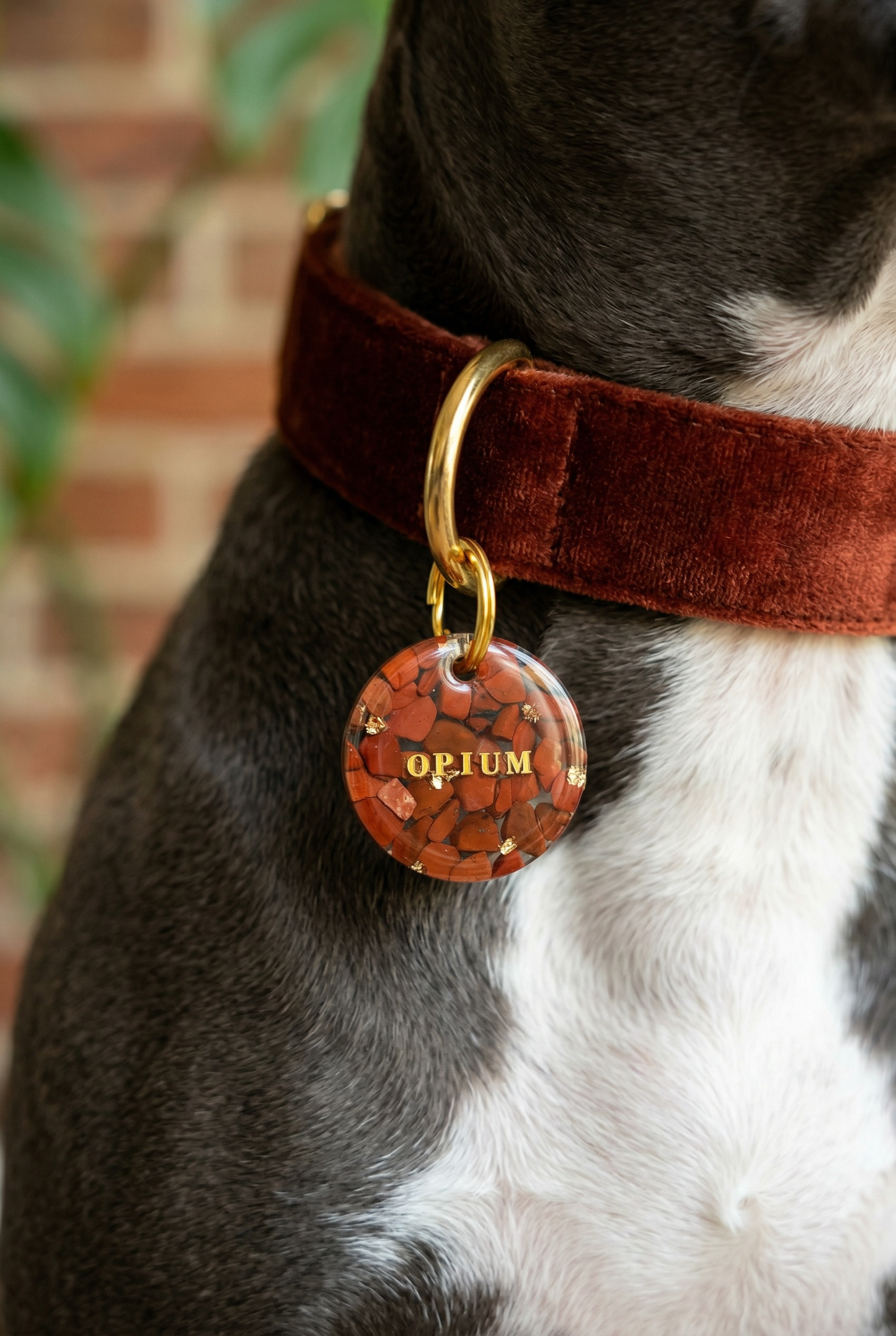 Déclinaison « Jaspe Rouge »