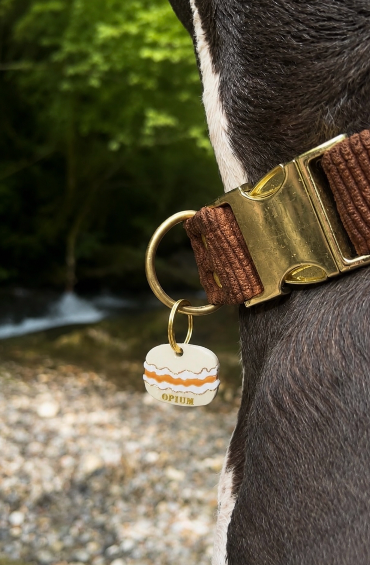 Déclinaison du modèle « Le Macaron » - Beurre salé