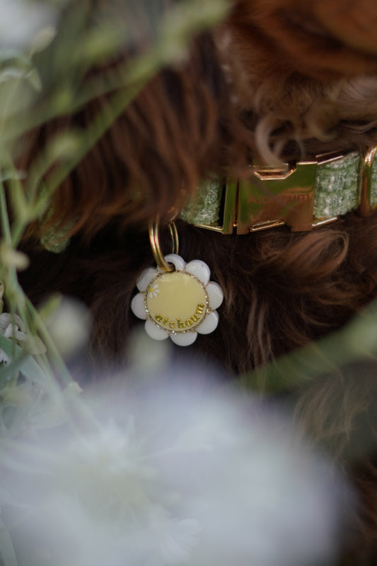 Déclinaison du modèle « Floréa »