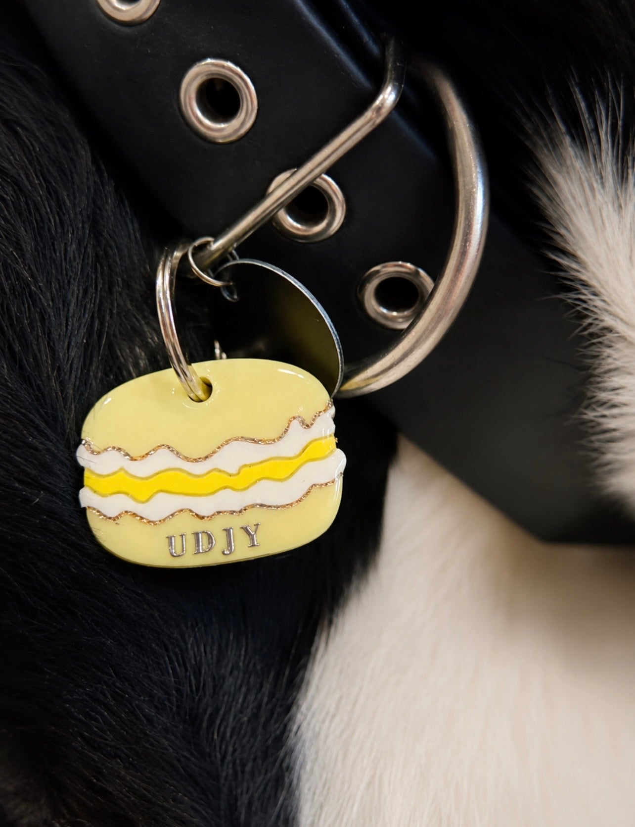Déclinaison du modèle « Le Macaron » - Citron