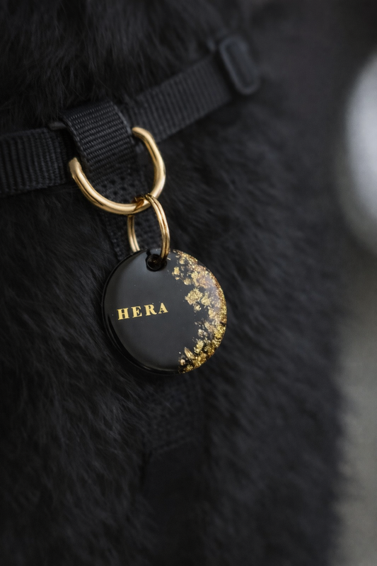 Déclinaison du modèle « Poussière d’Étoile » noir