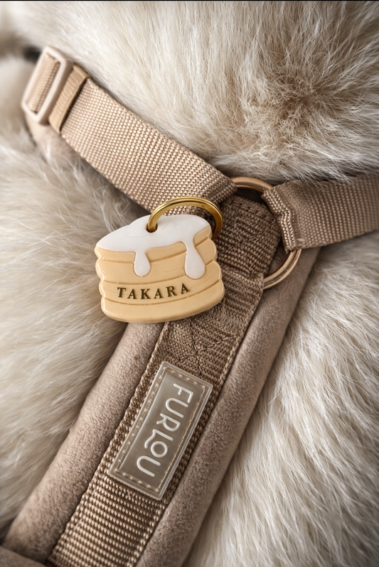 Déclinaison du modèle « Pancake »