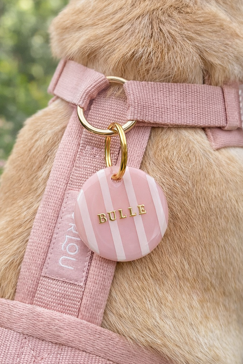 Déclinaison du modèle « Cozy » différents coloris