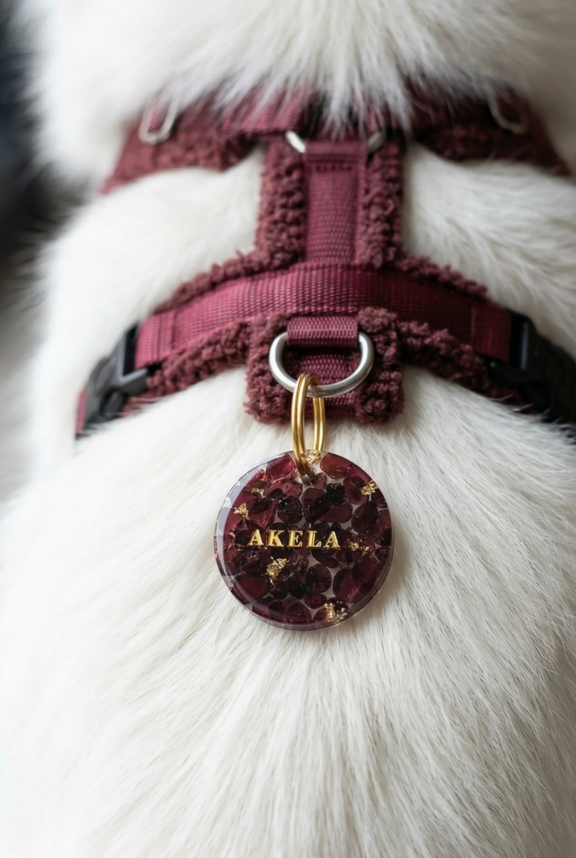 Déclinaison « Grenat »