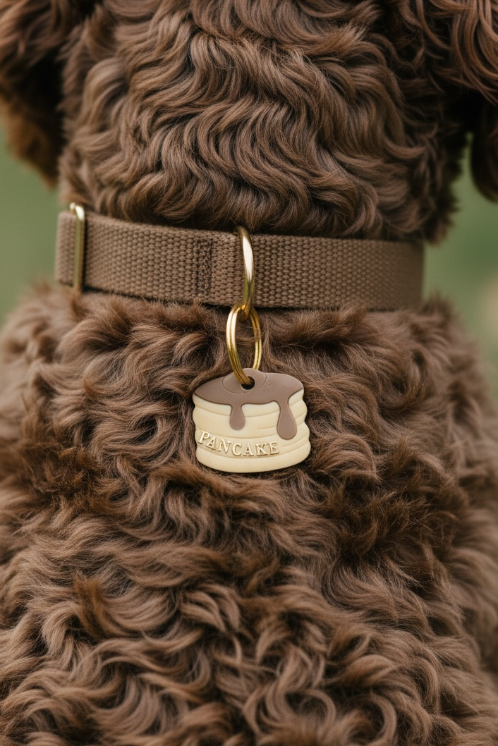 Déclinaison du modèle « Pancake »