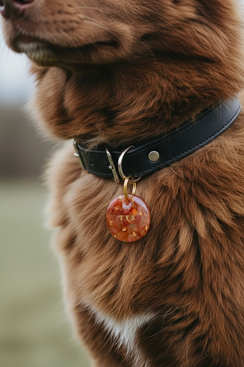 Déclinaison « Cornaline »