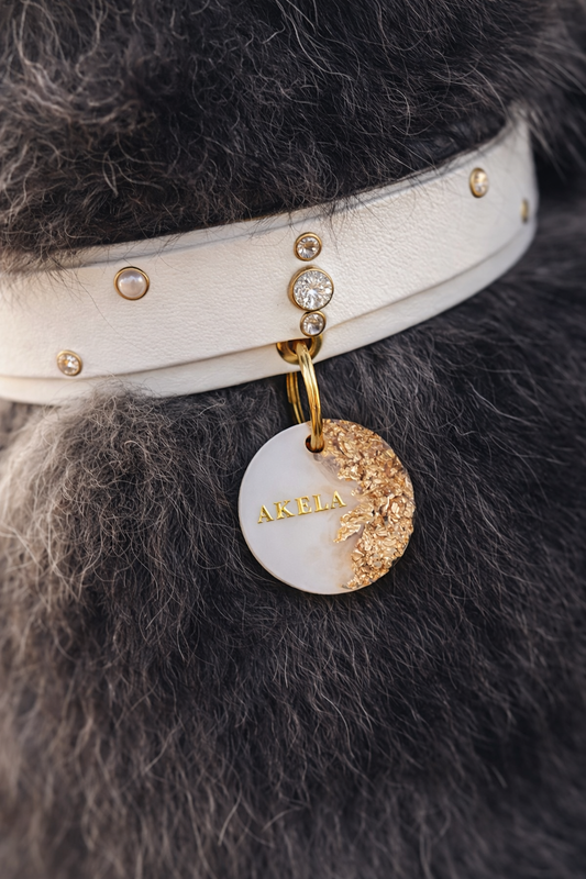 Déclinaison du modèle « Poussière d’Étoile » blanc