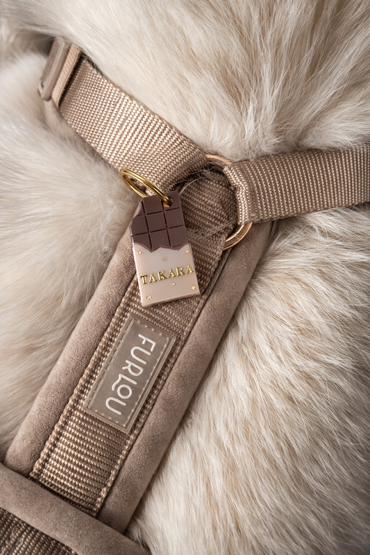 Déclinaison du modèle « La Tablette de Chocolat »