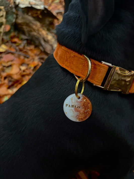 Déclinaison du modèle « Zéphéa »