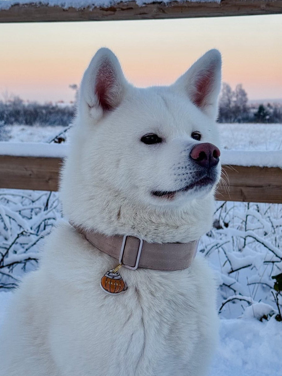 Déclinaison du modèle « Pump’mug ».