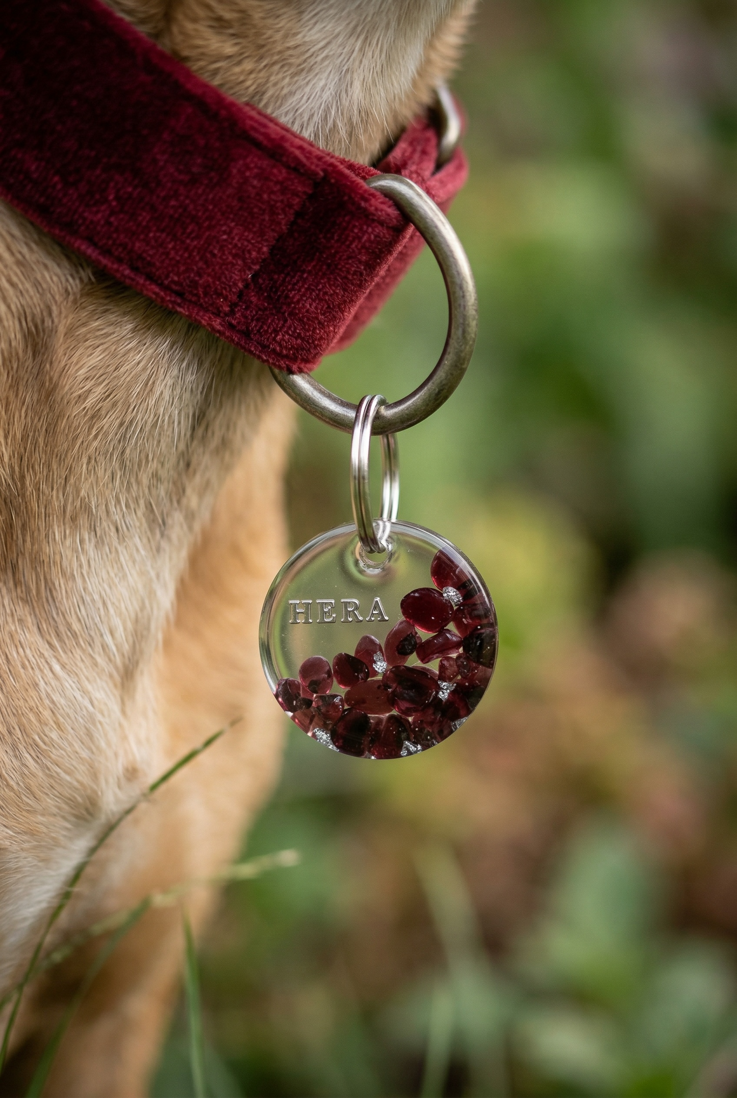 Déclinaison « Grenat »