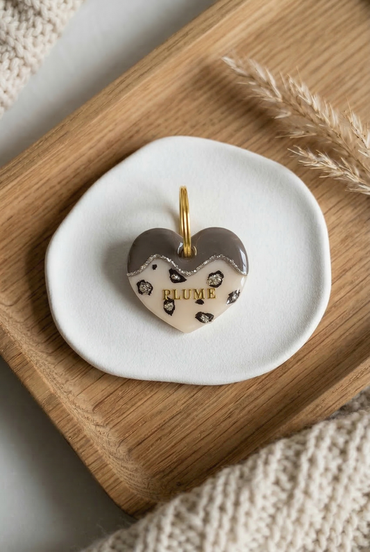 Déclinaison du modèle « Nébuleuse »