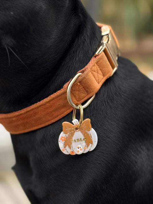 Déclinaison du modèle « Pumpkin »