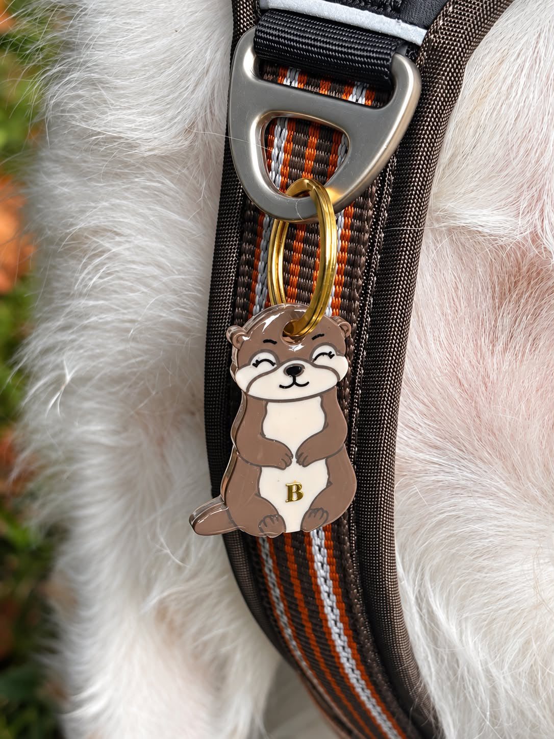 Déclinaison du modèle « La Loutre »