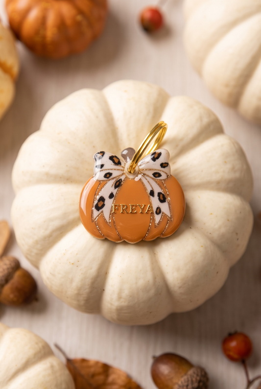 Déclinaison du modèle « Pumpkin Léopard »