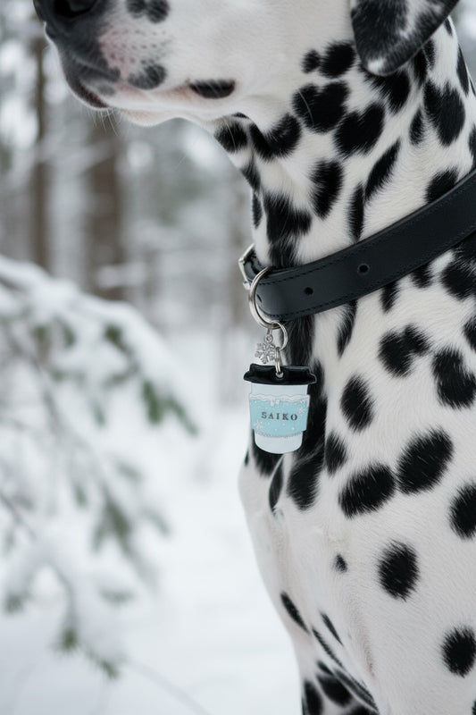 Déclinaison du modèle « Pupuccino »