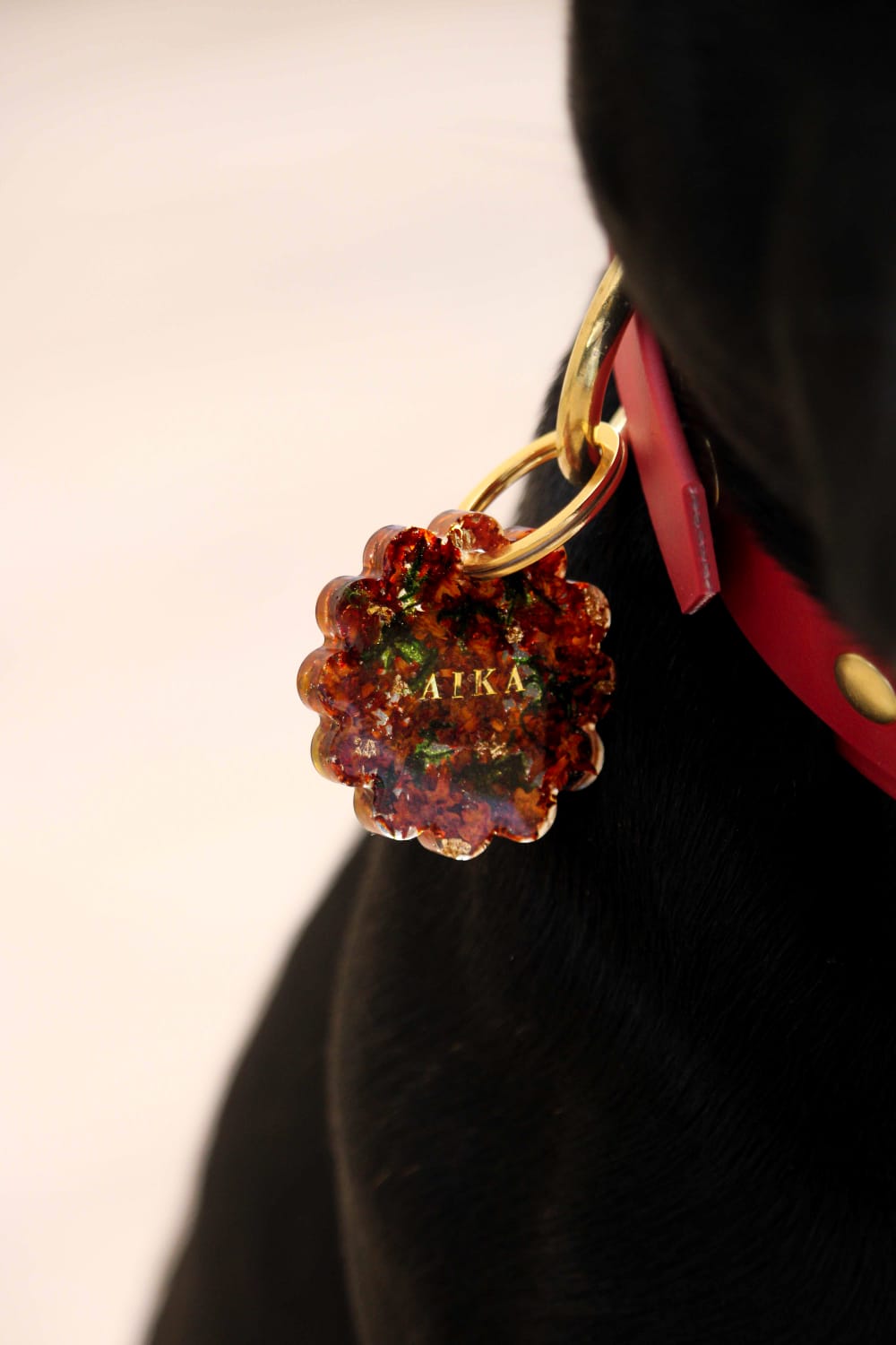 Déclinaison du modèle « Douceur d’automne »