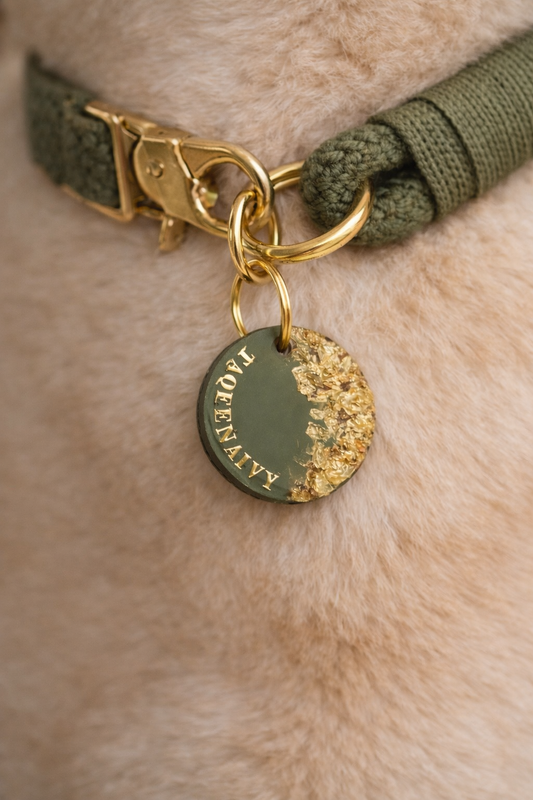 Déclinaison du modèle « Poussière d’Étoile » vert