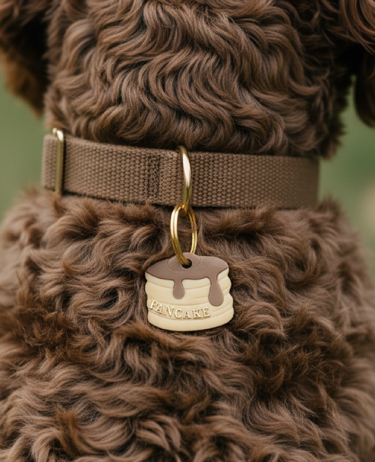 Déclinaison du modèle « Pancake »